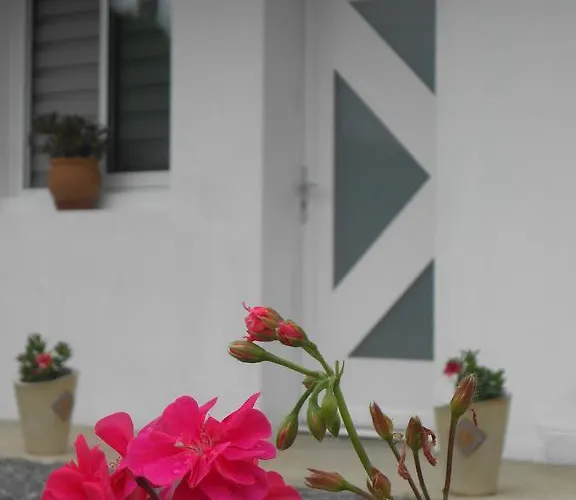 Apartamento Abadie *