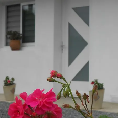 Apartment Abadie *
